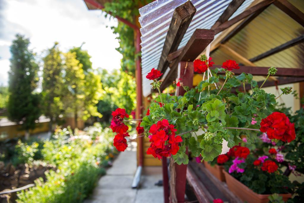 Casa Andreea Otel Sucevita Dış mekan fotoğraf