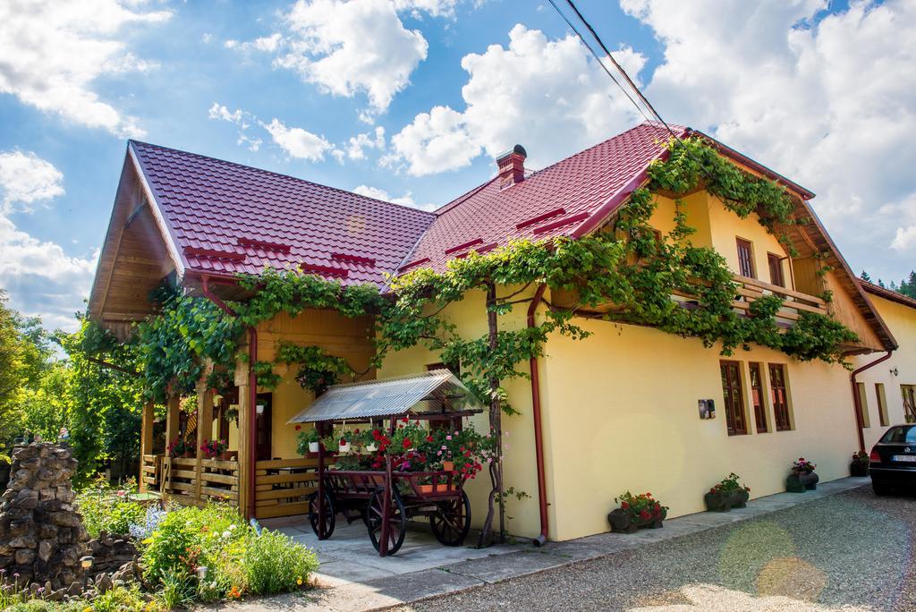 Casa Andreea Otel Sucevita Dış mekan fotoğraf